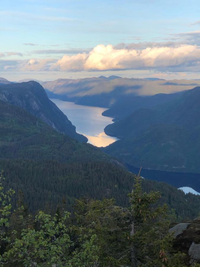 Dalen I Telemark Holiday Home With Garden Extérieur photo